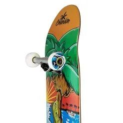 Crandon Palm Complete 8.25 + Wheels + Truck 7 Layers A -Longboards Shop crandon palm complete 8.25 wheels truck 7 layers a 4