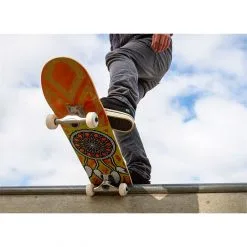 Enuff Skateboards Dreamcatcher Mini 7.25´´ Skateboard -Longboards Shop enuff skateboards dreamcatcher mini 7.25 skateboard 5